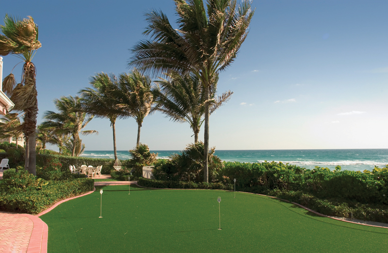 Commercial Landscape Turf